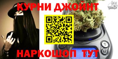 гидра Краснодар
