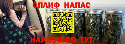 гидра Краснодар
