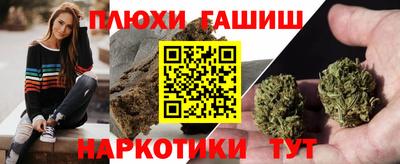 гидра Краснодар