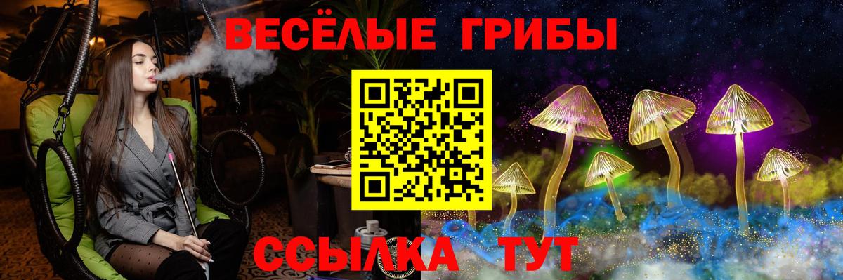 Галлюциногенные грибы Psilocybe  Вход с VPN  Урай 
